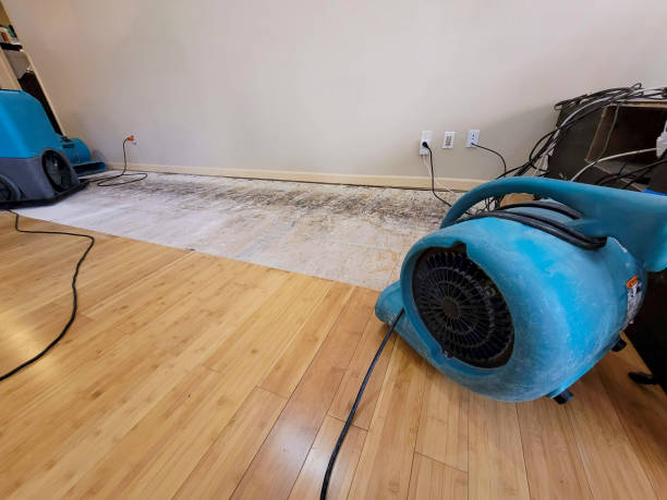 Professional Flood Damage Cleanup technician working in Cheraw, SC